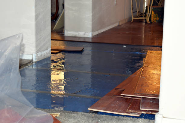 Professional Burst Pipe Cleanup technician working in Tehuacana, TX
