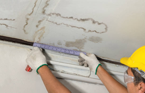 Reliable Burst Pipe Cleanup contractor in Tehuacana, TX by Water Damage Irwin